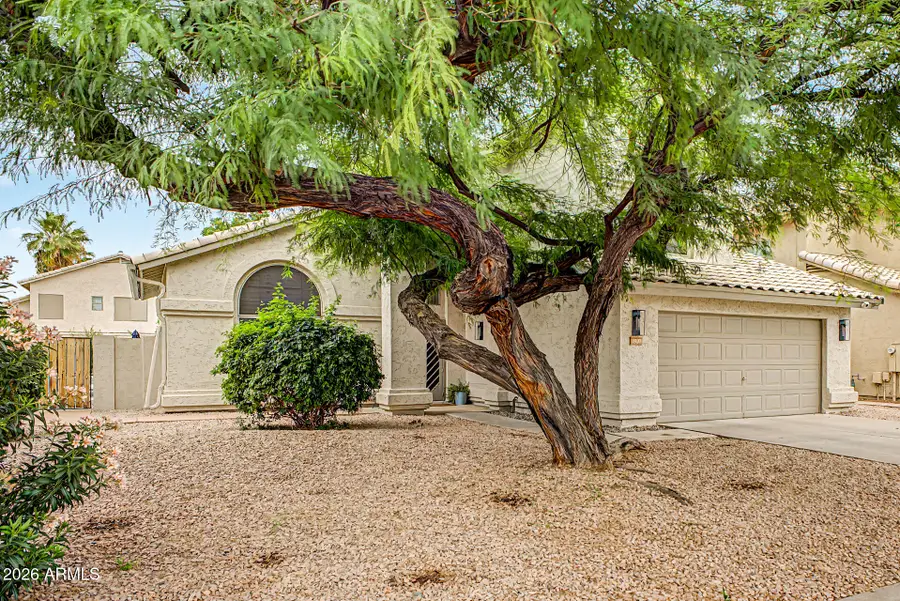1810 E Tremaine Avenue, Gilbert, AZ 85234 - #3