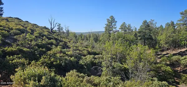 6303 Deer Run Road #398, Show Low, AZ 85901