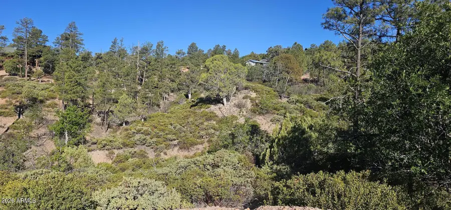 6303 Deer Run Road #398, Show Low, AZ 85901 - #2