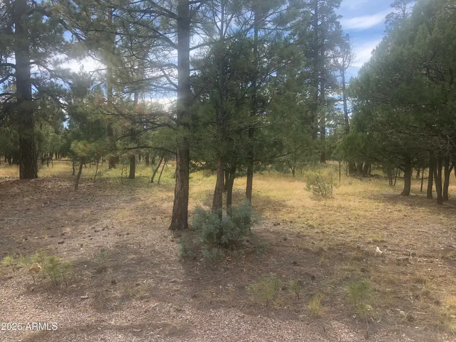 4382 Jack Pine Place #144, Happy Jack, AZ 86024 - #3