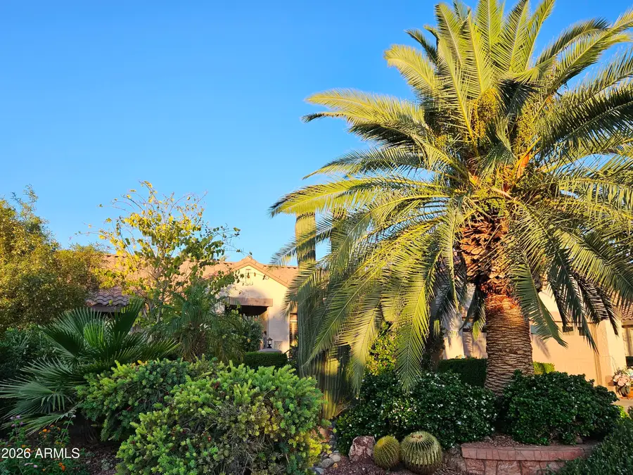 15576 W Coral Pointe Drive, Surprise, AZ 85374 - #3