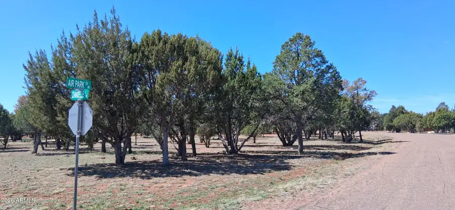 2790 Chandelle Lane #278, Overgaard, AZ 85933 - #2