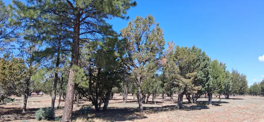 2790 Chandelle Lane #278, Overgaard, AZ 85933 - #3