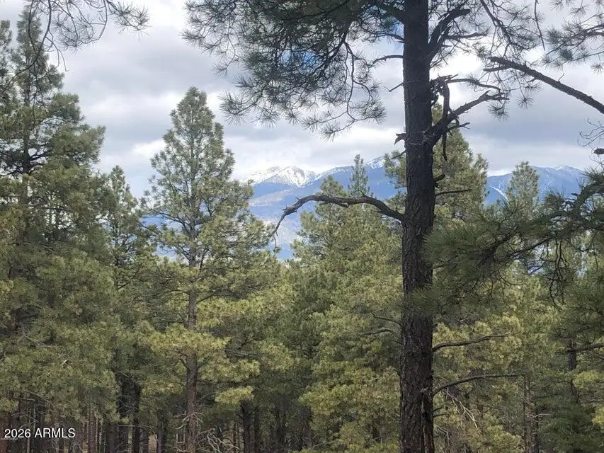 9410 Coyote Pass, Flagstaff, AZ 86001 - #3