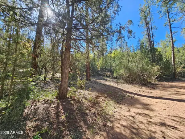 3054 N Neal Drive #4, Payson, AZ 85541