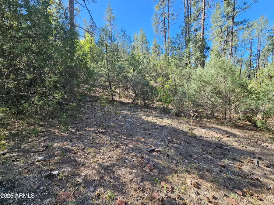 3054 N Neal Drive #4, Payson, AZ 85541 - #2
