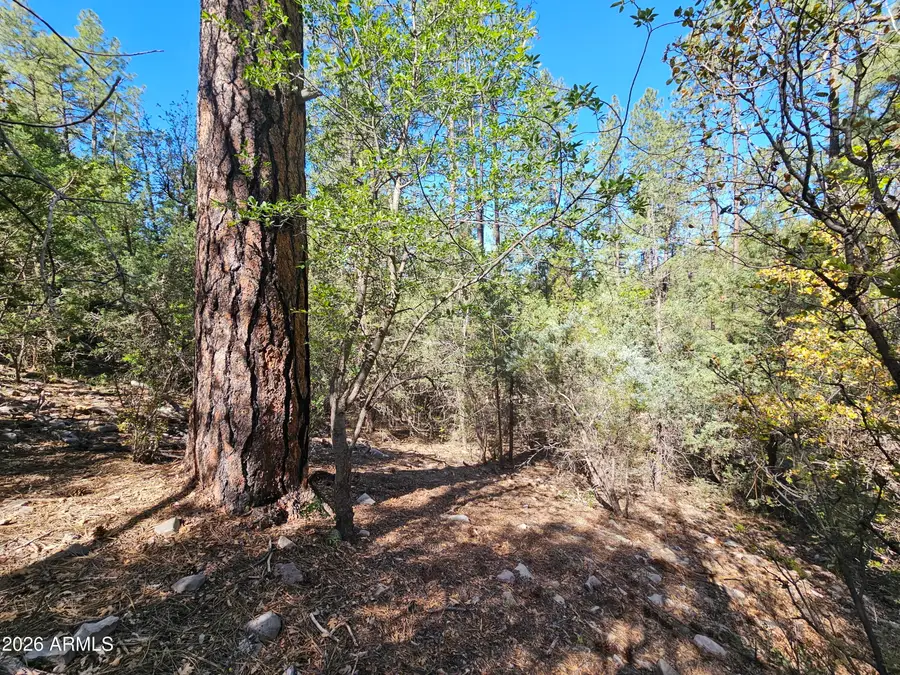 3054 N Neal Drive #4, Payson, AZ 85541 - #3