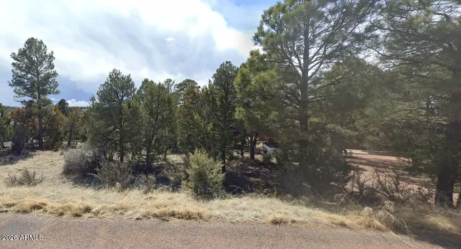 2223 Fairway Drive #16, Overgaard, AZ 85933 - #3