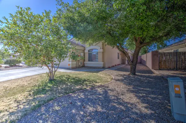 12510 W Saint Moritz Lane, El Mirage, AZ 85335