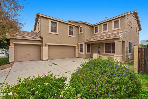 40724 W Novak Lane, Maricopa, AZ 85138
