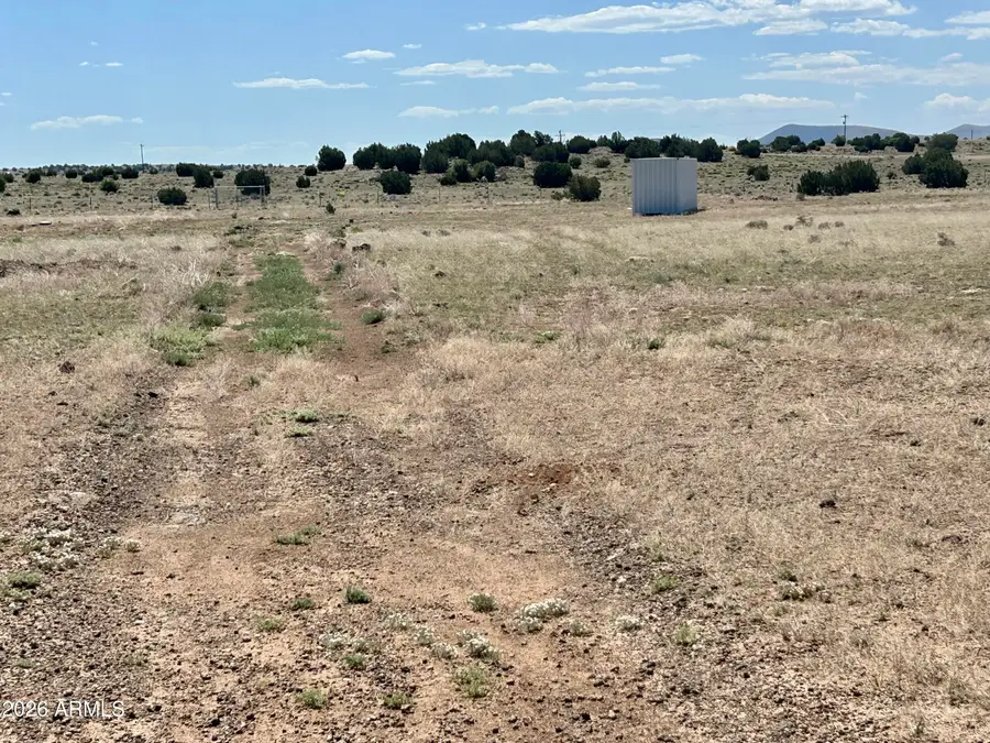 TBD Windsor Valley Ranch Lot 135 -- #135, Concho, AZ 85924 - #3