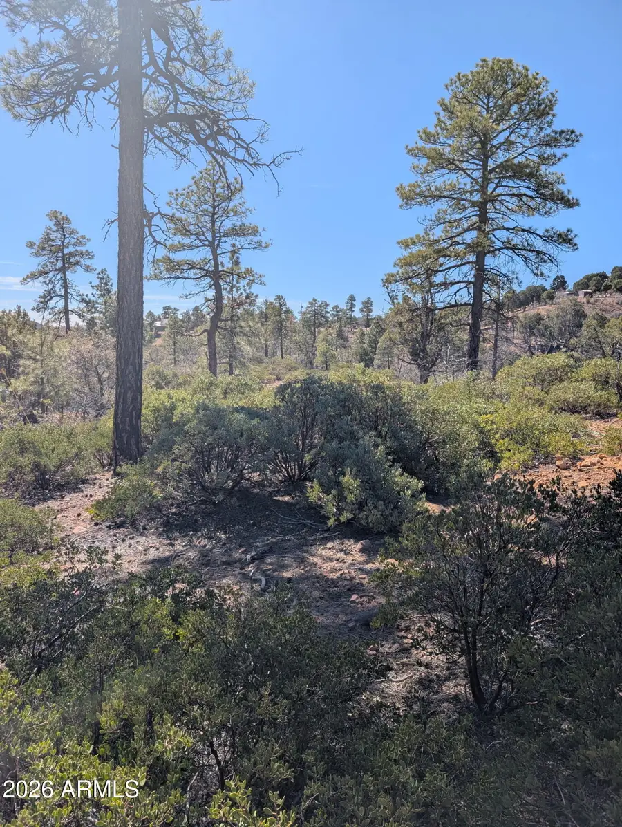 958 Navajo Trail #435, Show Low, AZ 85901 - #2