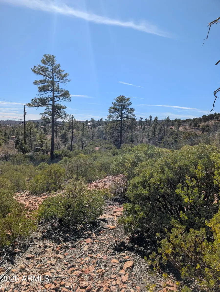 958 Navajo Trail #435, Show Low, AZ 85901 - #3