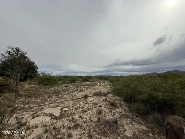 4971 W Marguerite Road, Willcox, AZ 85643 - #2
