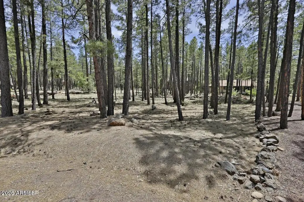 2682 Brahma Circle, Pinetop, AZ 85935 - #1