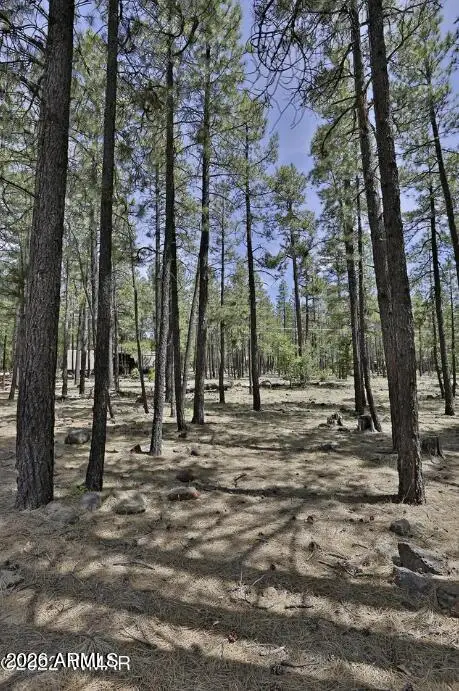 2682 Brahma Circle, Pinetop, AZ 85935 - #2
