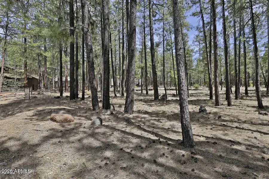 2682 Brahma Circle, Pinetop, AZ 85935 - #3