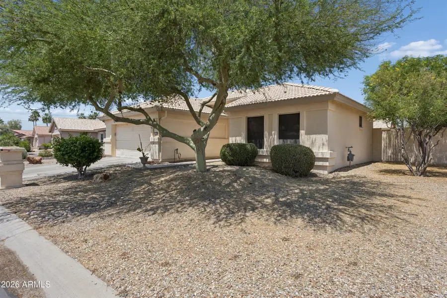 14672 W Mulberry Drive, Goodyear, AZ 85395 - #2