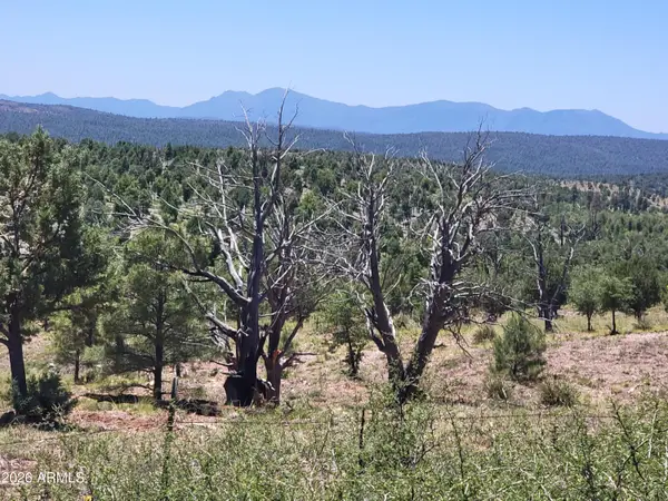41 & 42 Antelope Trail #41 & 42, Payson, AZ 85541