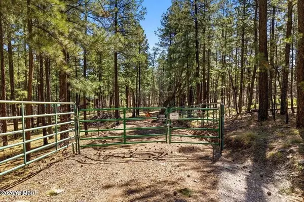 11 County Road 2135 --, Alpine, AZ 85920