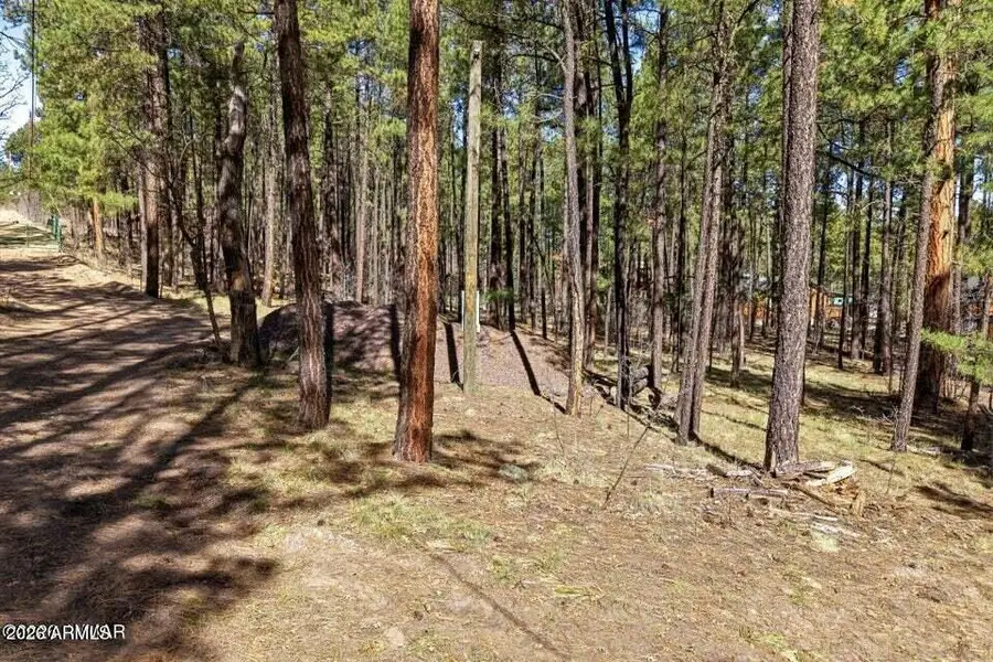 11 County Road 2135 --, Alpine, AZ 85920 - #3