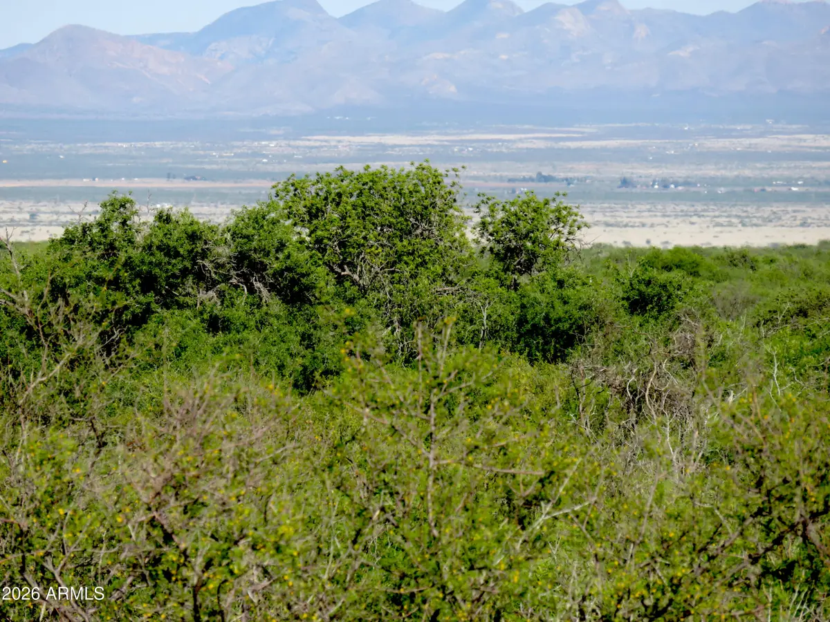 TBD N Last Trail #55, Elfrida, AZ 85610 - #1