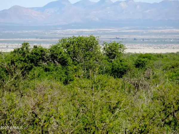 TBD N Last Trail #55, Elfrida, AZ 85610