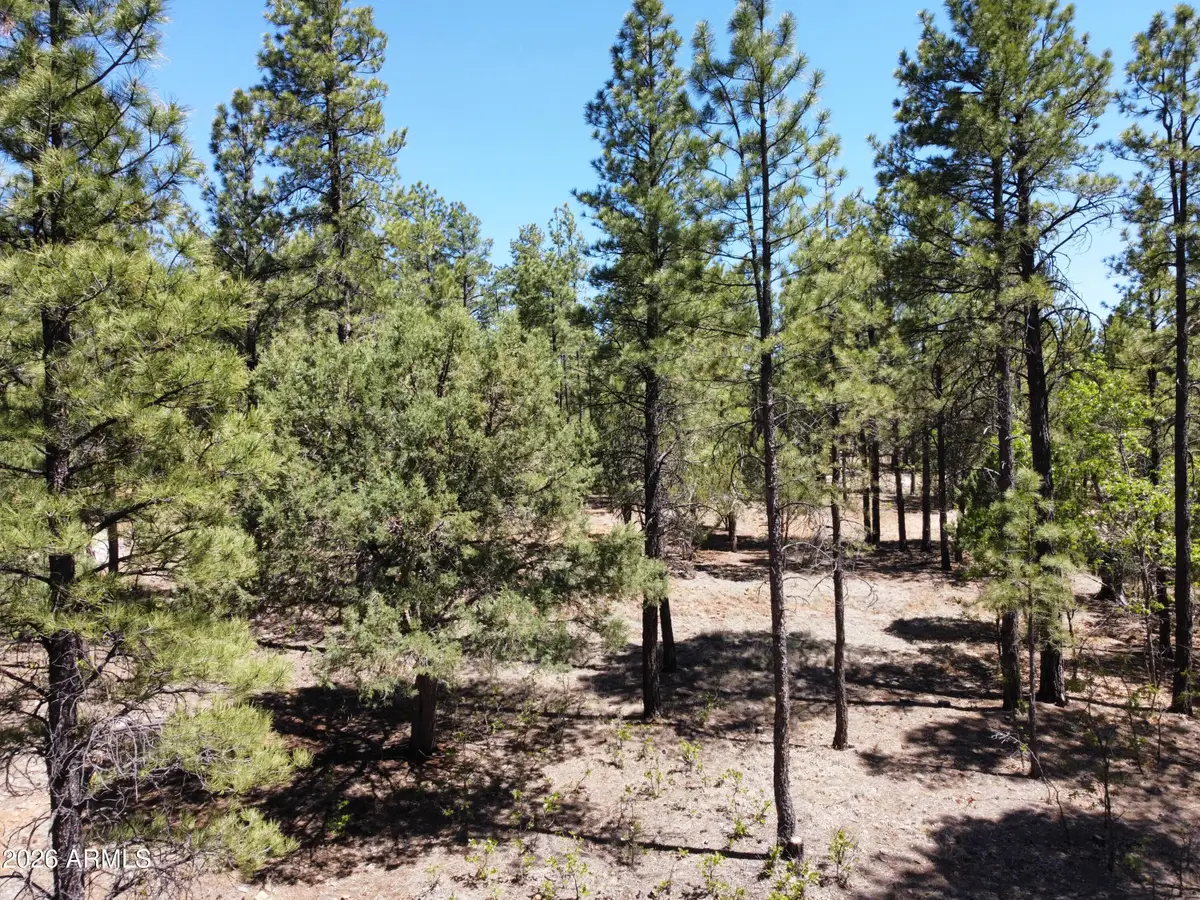 4450 Blackfoot Circle #415, Happy Jack, AZ 86024 - #1
