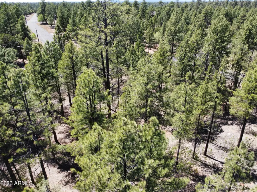4450 Blackfoot Circle #415, Happy Jack, AZ 86024 - #2