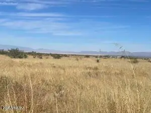 TBD Windsong -- #13, Pearce, AZ 85625 - #2