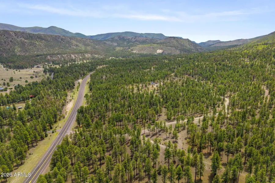 2184 N Highway 191 --, Nutrioso, AZ 85932 - #3