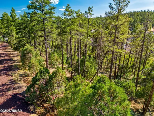 TBD E Ellsworth -- #3, Show Low, AZ 85901