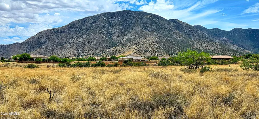 Lot 54 E Molly Drive #54, Hereford, AZ 85615 - #2