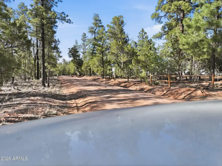 2060 Gilbert Lane, Overgaard, AZ 85933 - #3