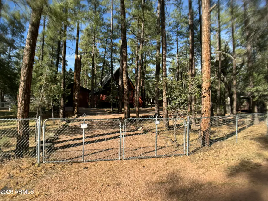 5265 N Squirrel Run, Pine, AZ 85544 - #2