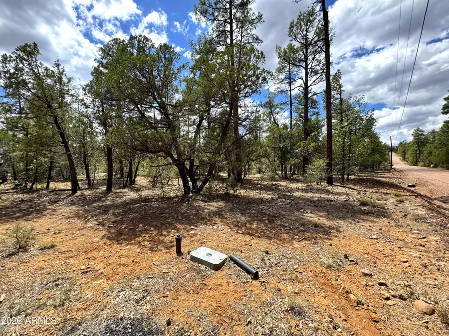 1983 Maryanne Road, Show Low, AZ 85901 - #2