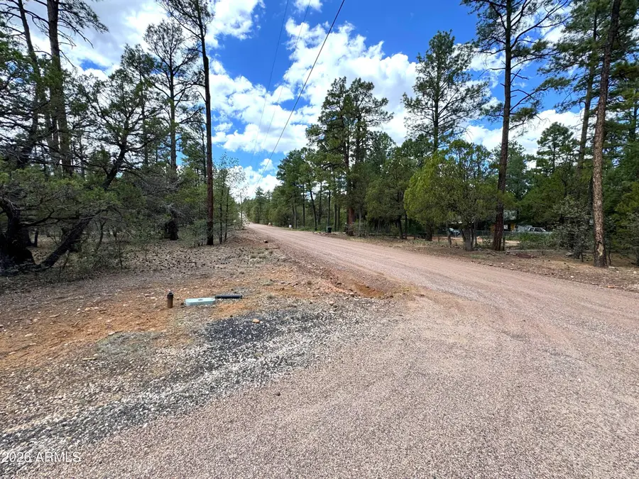 1983 Maryanne Road, Show Low, AZ 85901 - #3