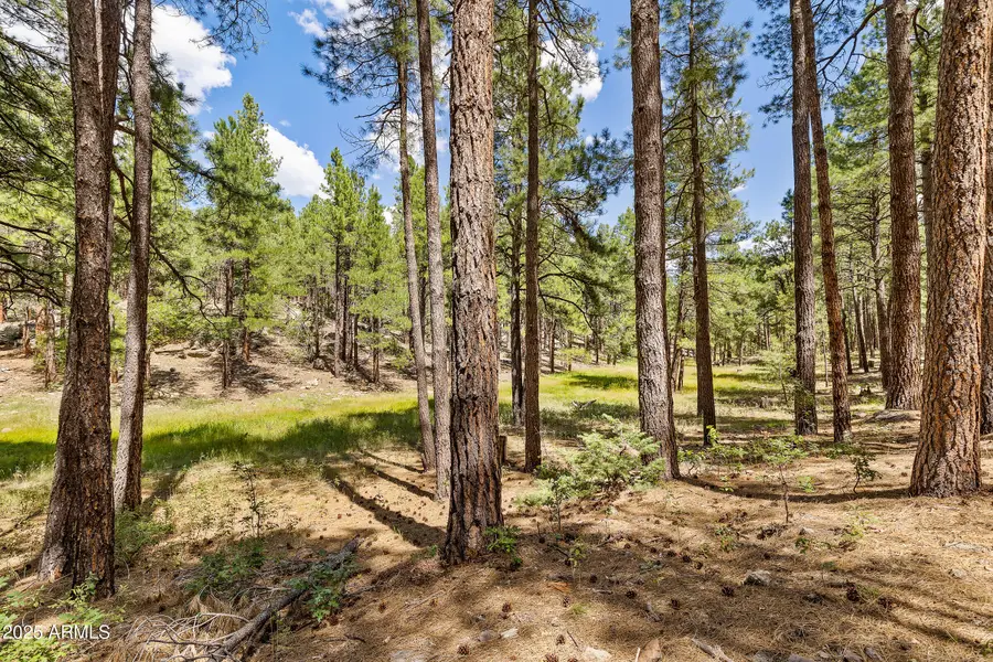 3456 Laurie Lane #9, Flagstaff, AZ 86005 - #3