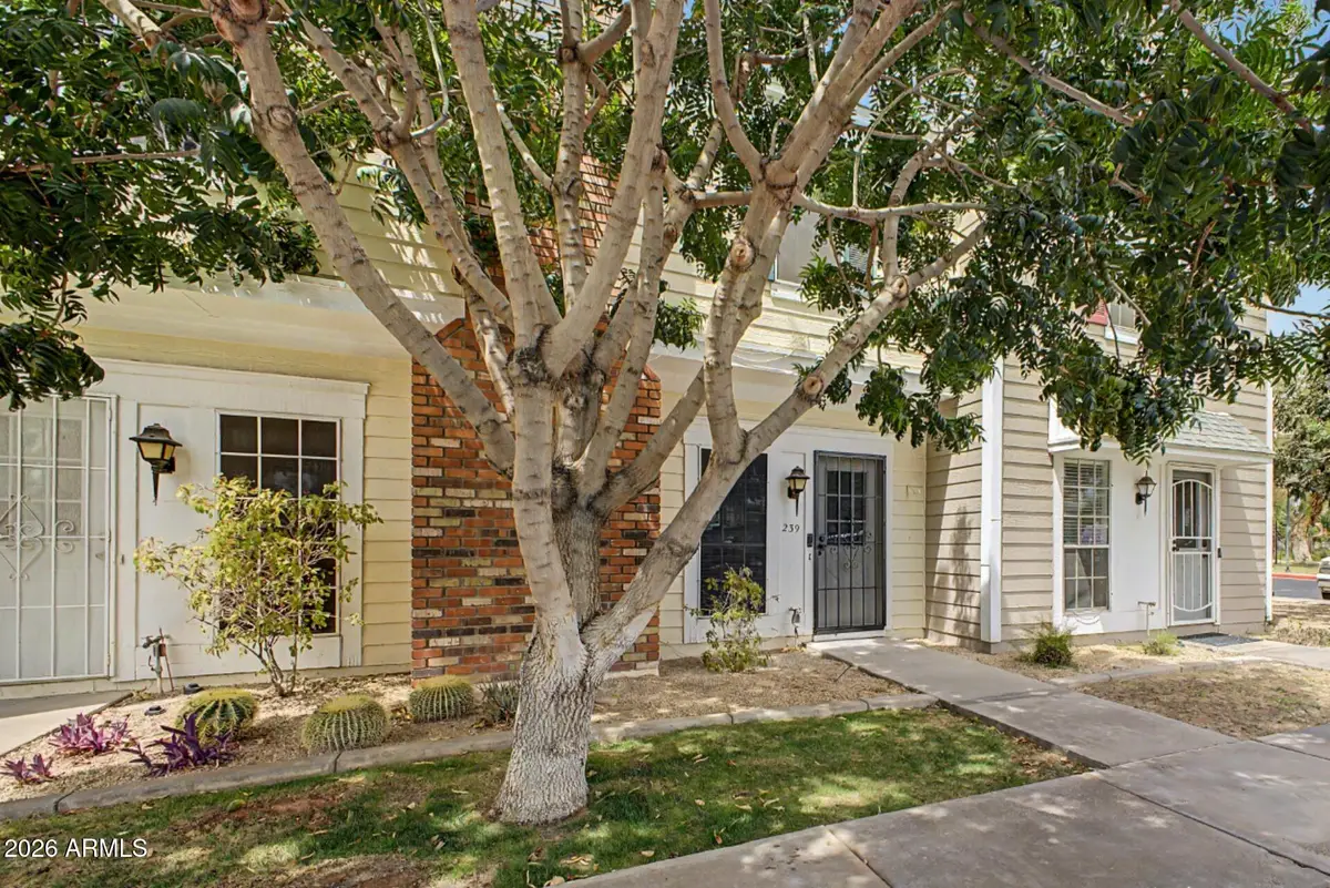 1601 N Saba Street #239, Chandler, AZ 85225 - #1