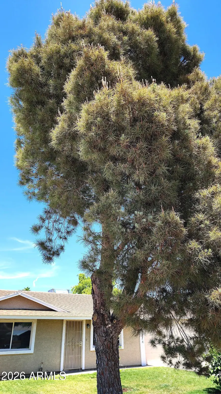 3524 E Winchcomb Drive, Phoenix, AZ 85032 - #3