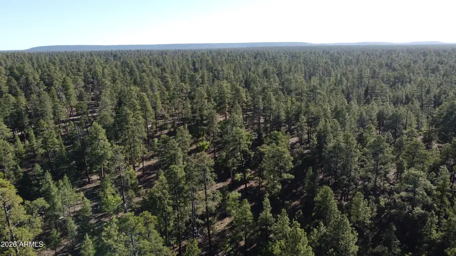 3212 Apache Drive #589, Happy Jack, AZ 86024 - #3