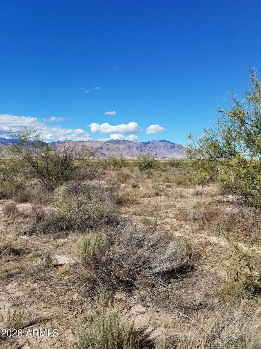 TBD E Many Wells Road -- #30, Elfrida, AZ 85610 - #2