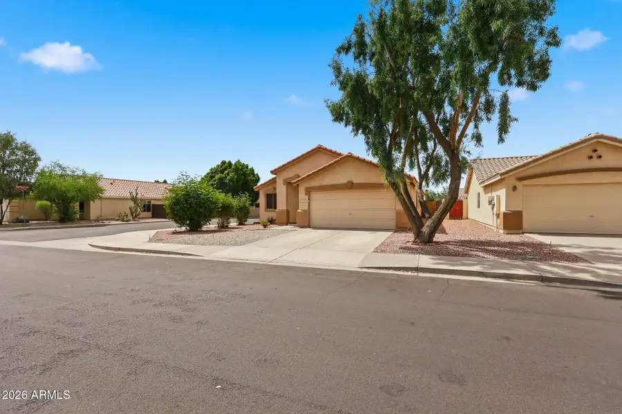 13517 W Young Street, Surprise, AZ 85374 - #2