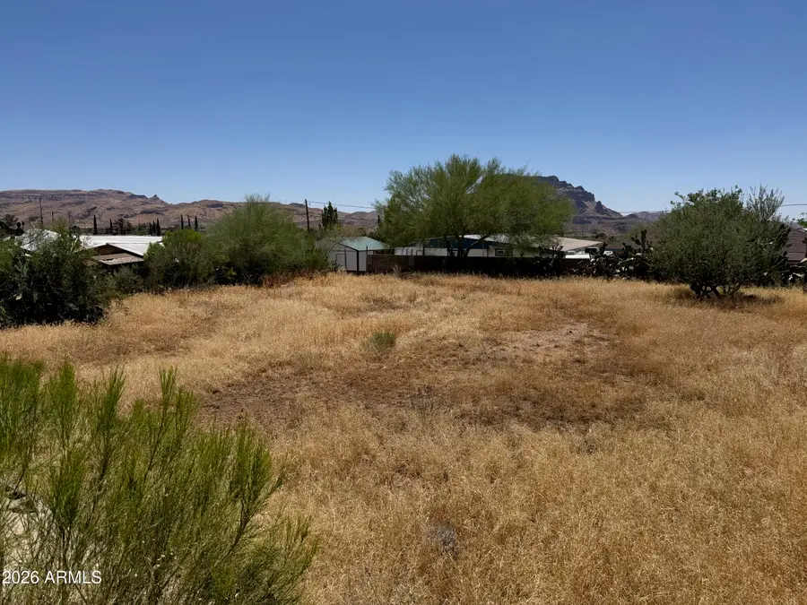 1204 S Western Avenue, Superior, AZ 85173 - #3