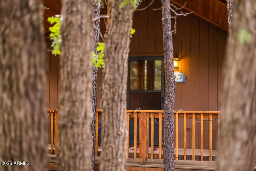 3845 Turkey Track Road, Pinetop, AZ 85935 - #3