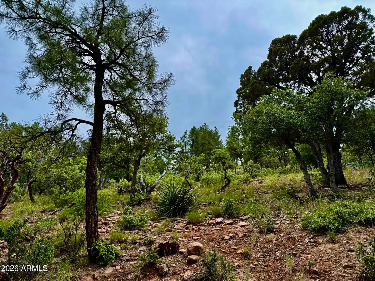 161 N Portal Drive #161, Pine, AZ 85544 - #1