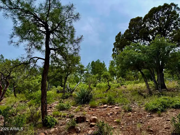 161 N Portal Drive #161, Pine, AZ 85544