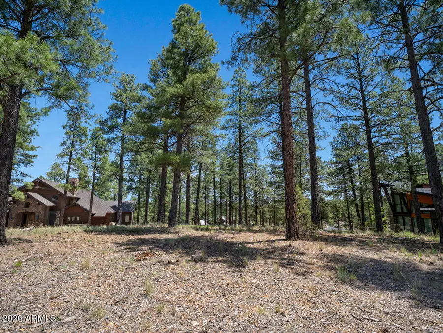 2541 E La Serena Drive #280, Flagstaff, AZ 86005 - #3