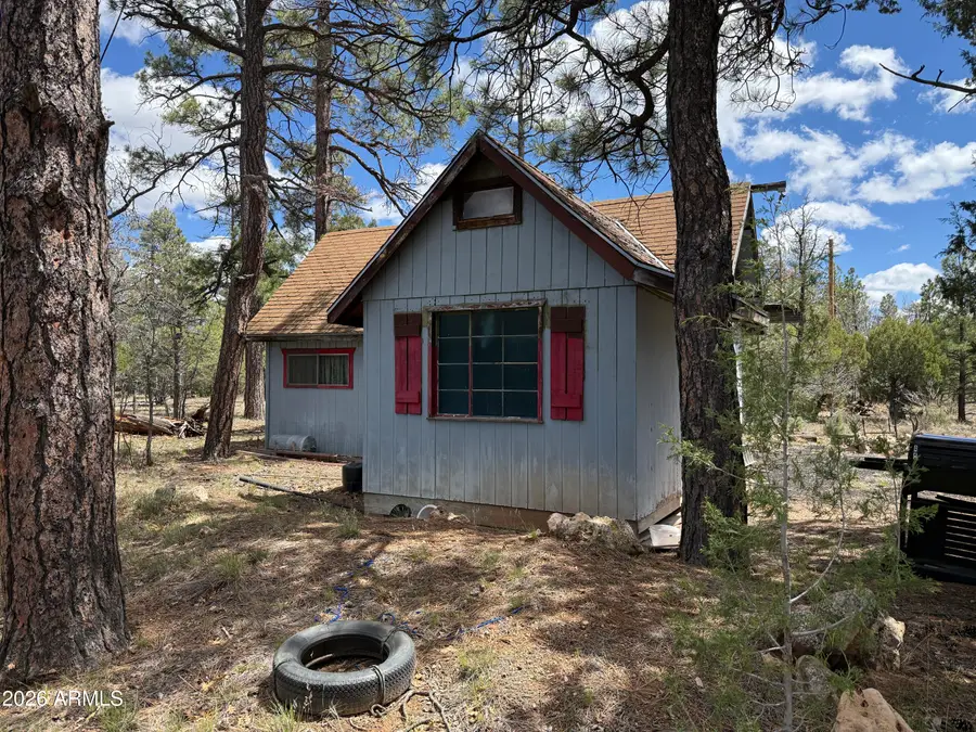 1270 Green Ridge Drive, Happy Jack, AZ 86024 - #2