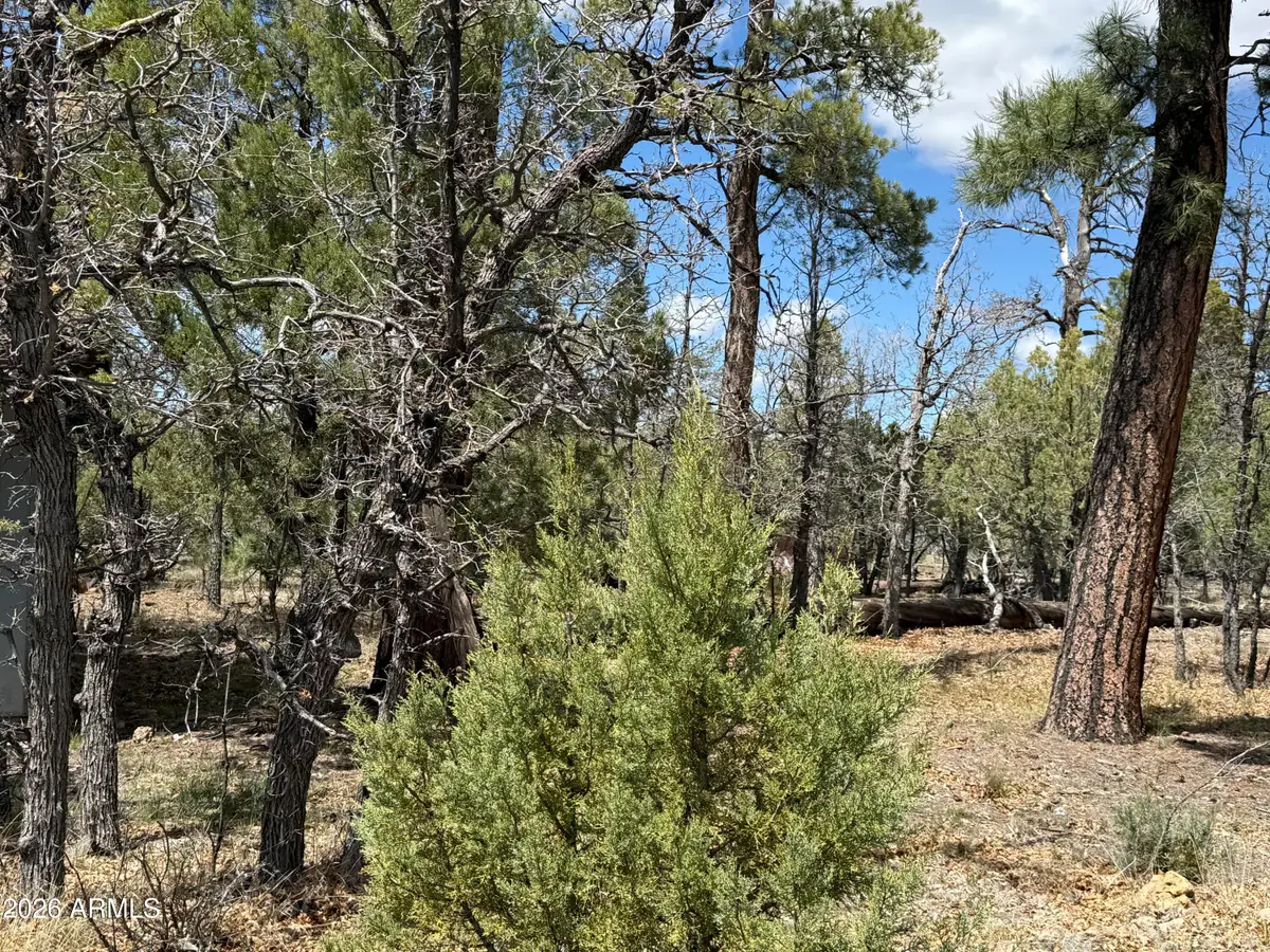1226 Green Ridge Drive #80, Happy Jack, AZ 86024 - #1